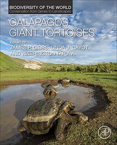 Galapagos Giant Tortoises