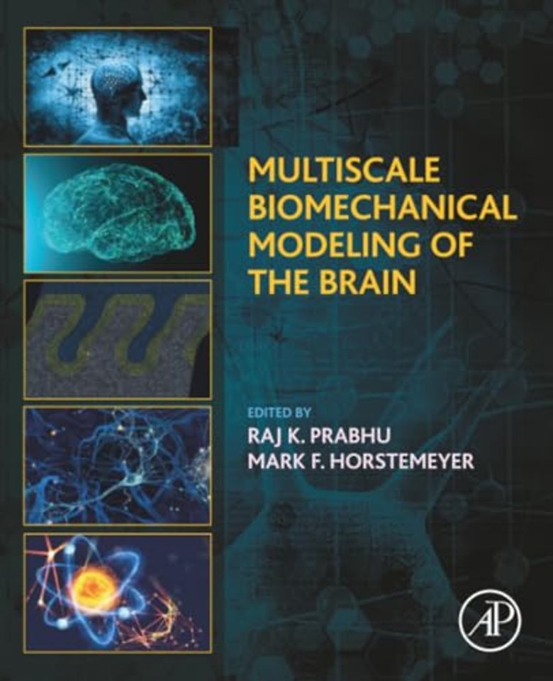 Multiscale Biomechanical Modeling of the Brain