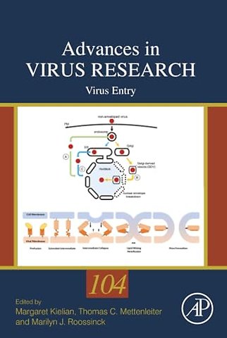 Virus Entry