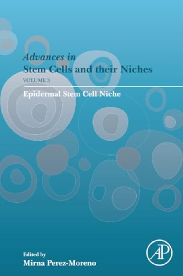 Epidermal Stem Cell Niche