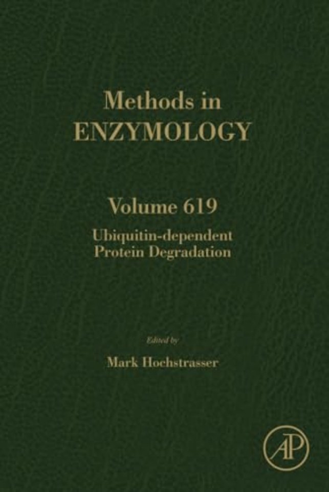 Ubiquitin-dependent Protein Degradation