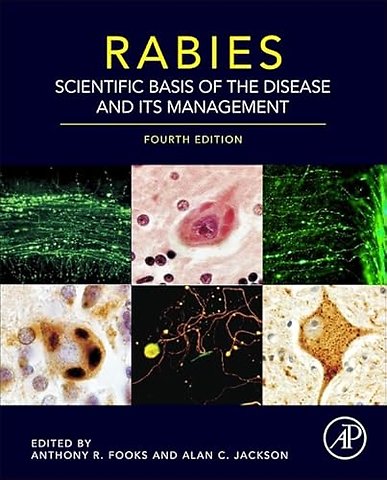 Rabies