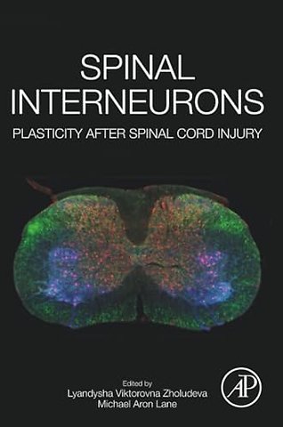 Spinal Interneurons