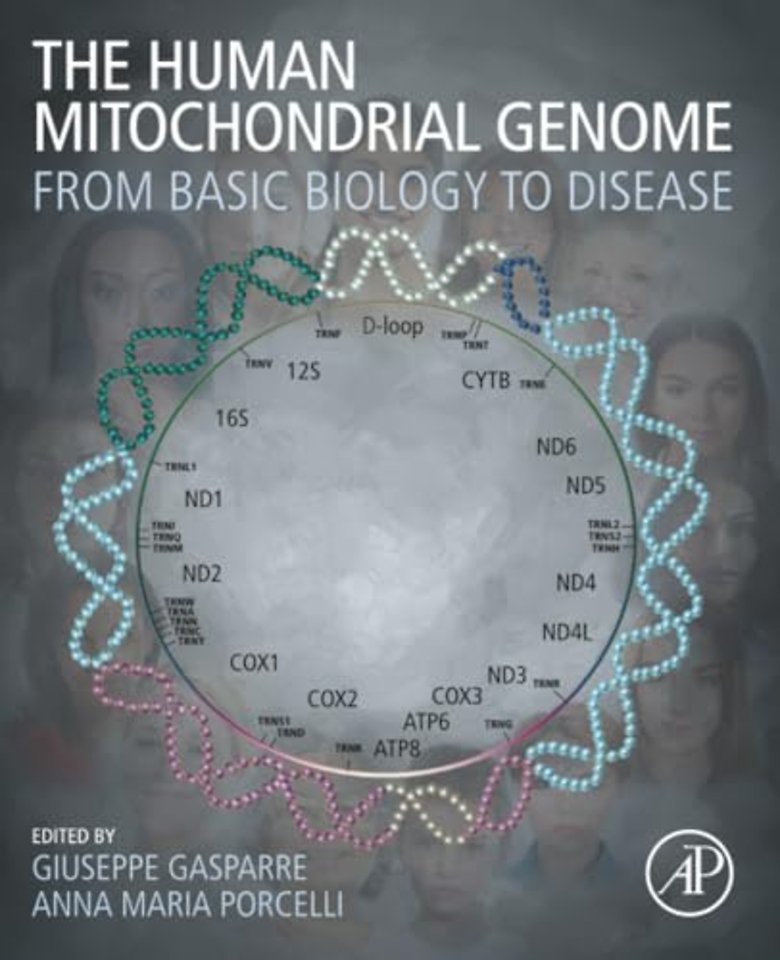 The Human Mitochondrial Genome