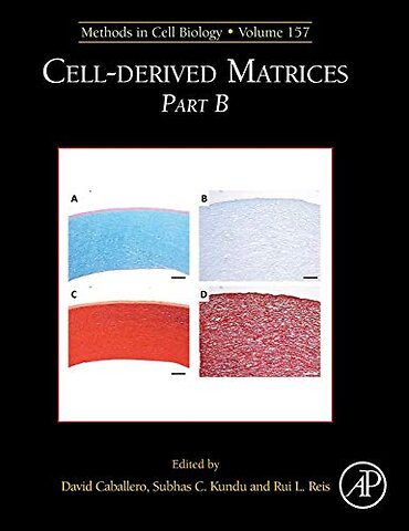Cell-Derived Matrices Part B