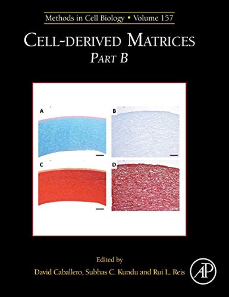 Cell-Derived Matrices Part B
