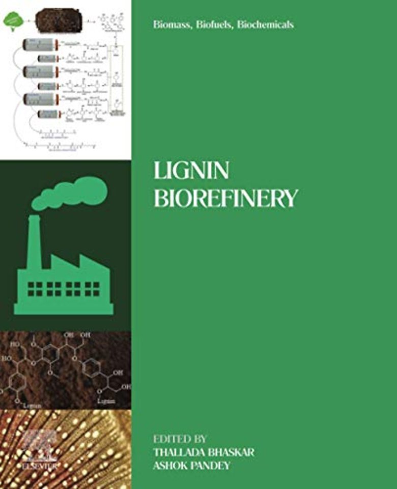 Biomass, Biofuels, Biochemicals