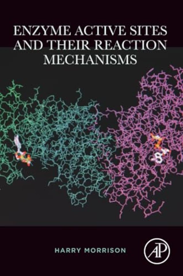 Enzyme Active Sites and their Reaction Mechanisms