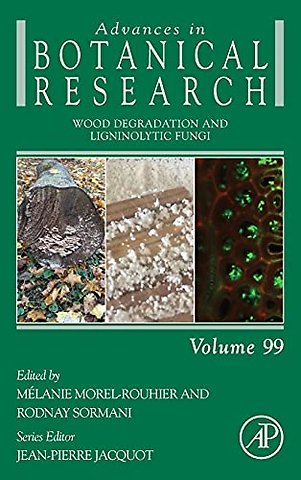Wood Degradation and Ligninolytic Fungi