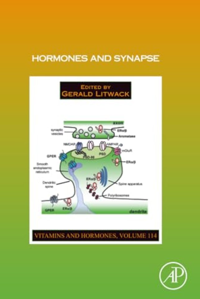 Hormones and Synapse