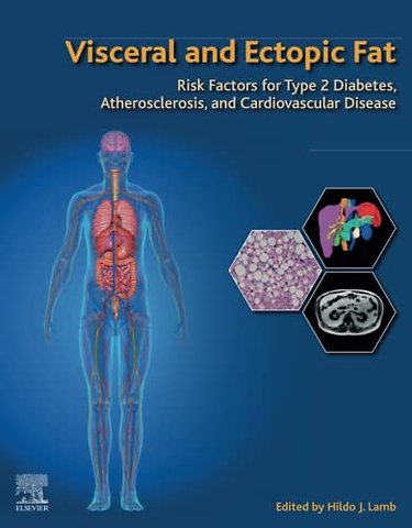 Visceral and Ectopic Fat
