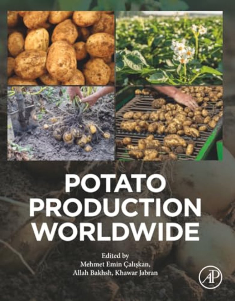 Potato Production Worldwide