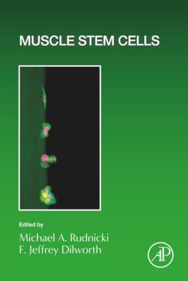 Muscle Stem Cells