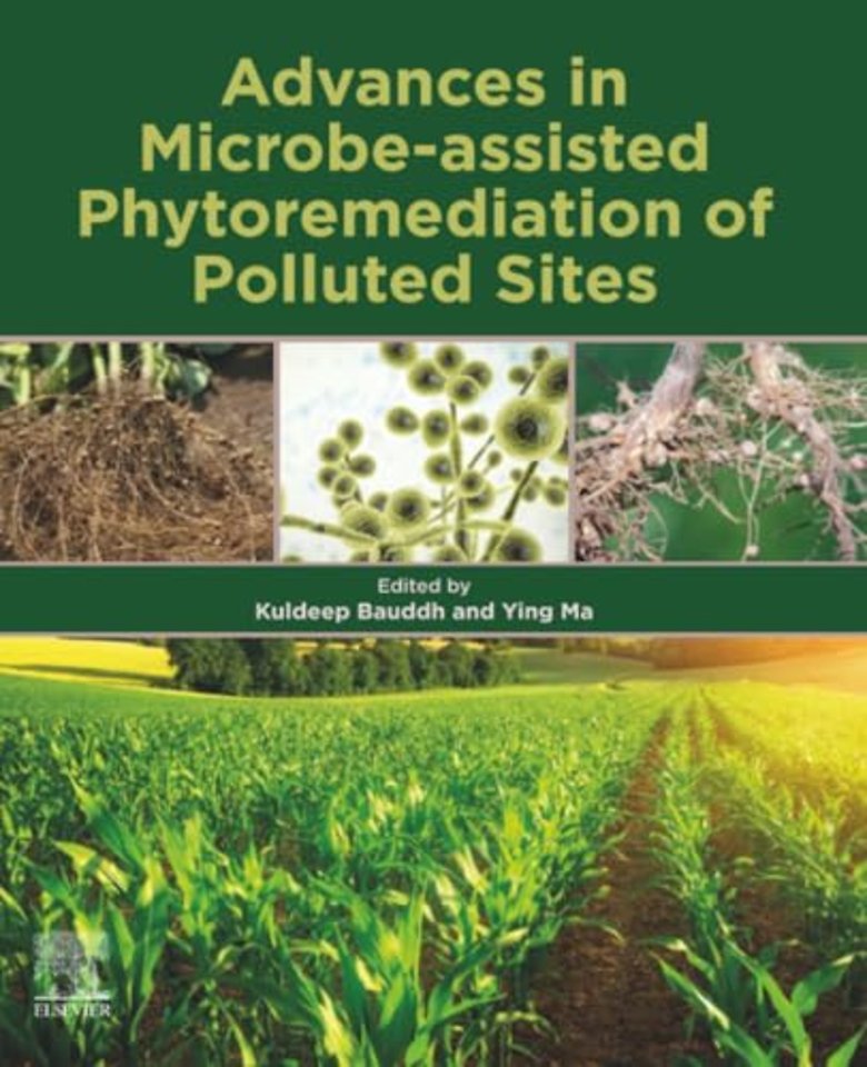 Advances in Microbe-assisted Phytoremediation of Polluted Sites