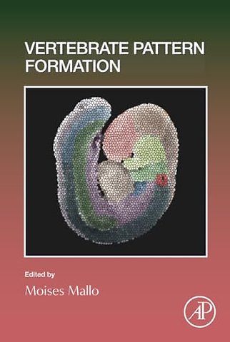 Vertebrate Pattern Formation