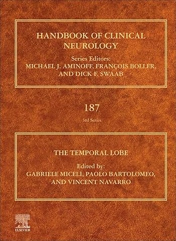 The Temporal Lobe