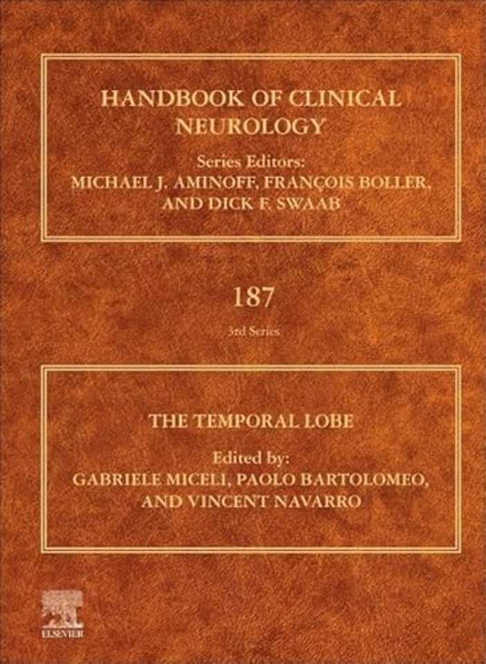 The Temporal Lobe