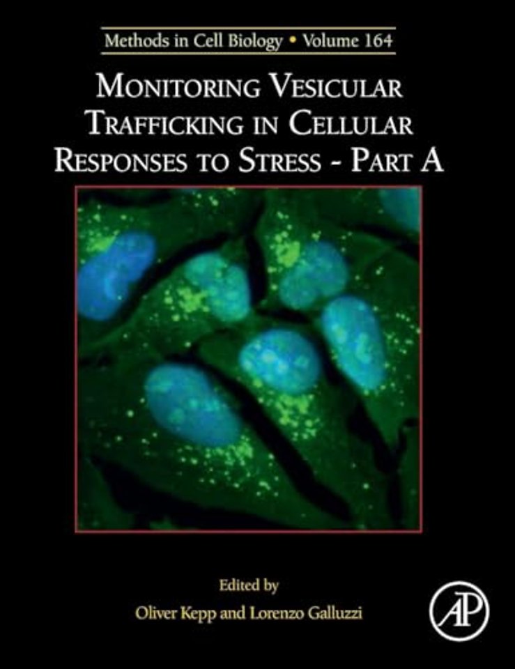 Monitoring Vesicular Trafficking in Cellular Responses to Stress