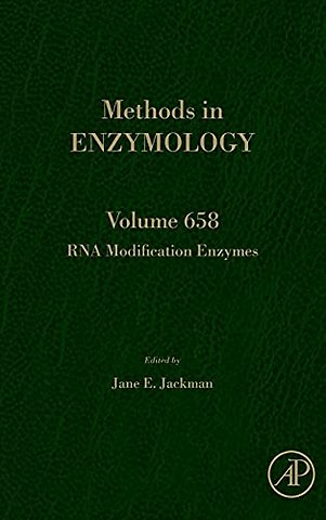 RNA Modification Enzymes