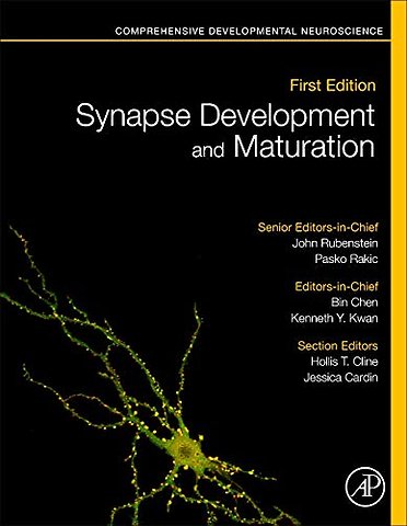 Synapse Development and Maturation
