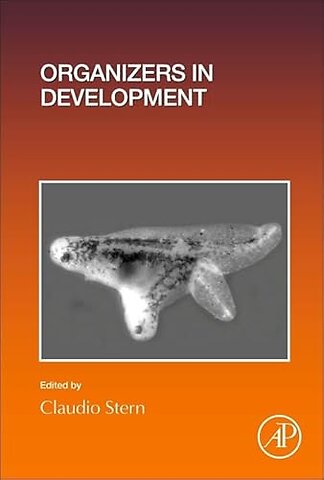 Organizers in Development