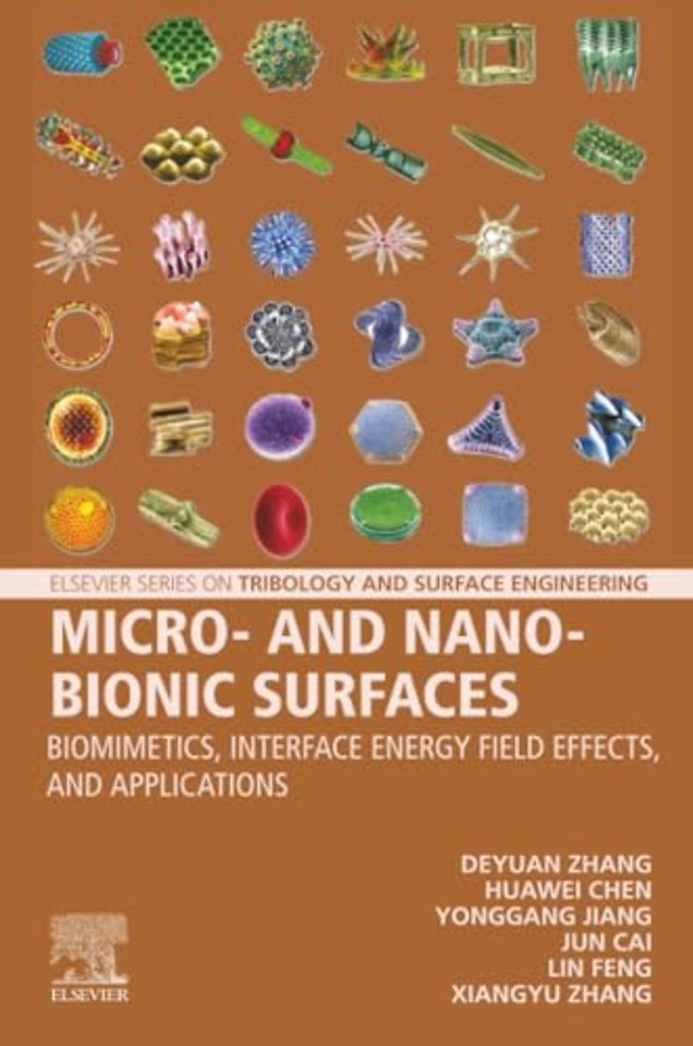 Micro- and Nano-Bionic Surfaces