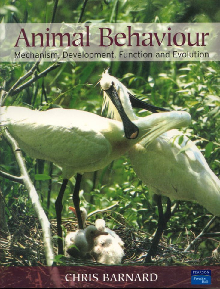 Animal Behaviour