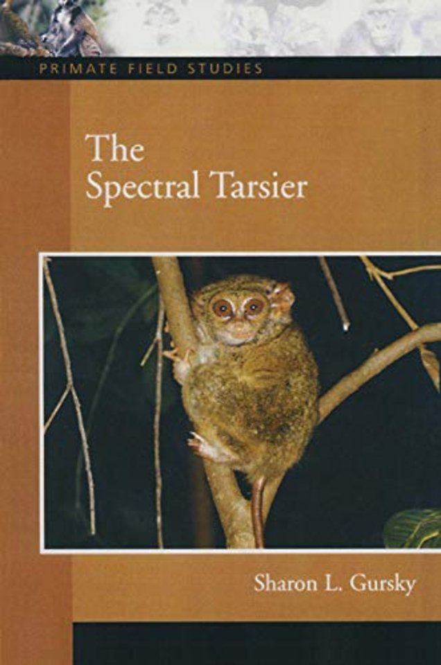 Spectral Tarsier