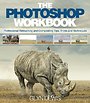 The Photoshop Workbook The Photoshop Workbook