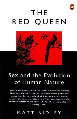 The Red Queen