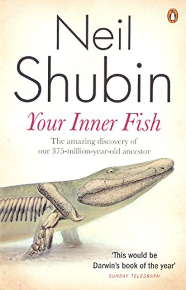 Your Inner Fish