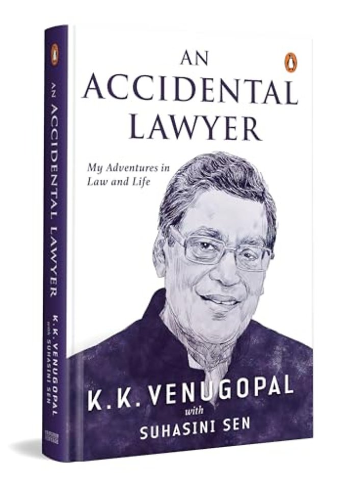 An Accidental Lawyer