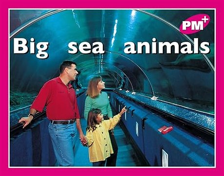 Big sea animals
