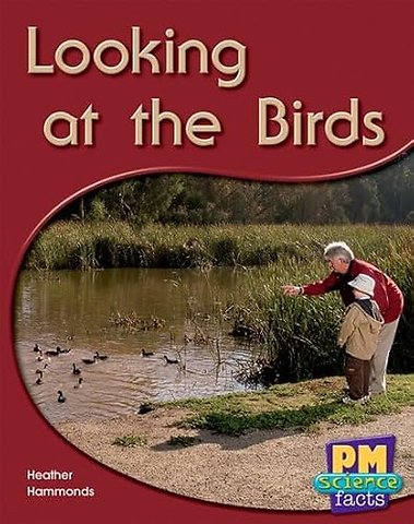 Looking at the Birds
