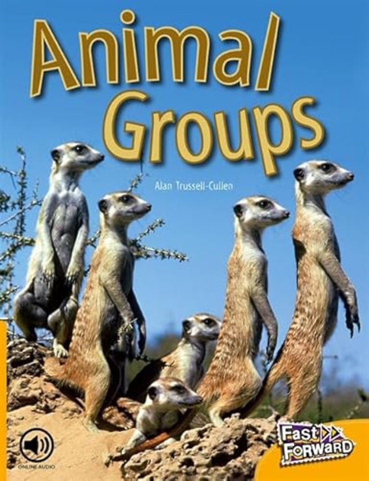 Animal Groups