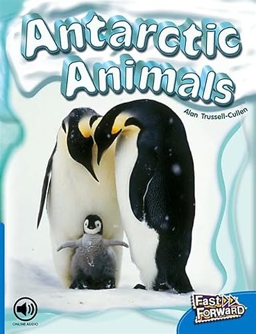 Antarctic Animals