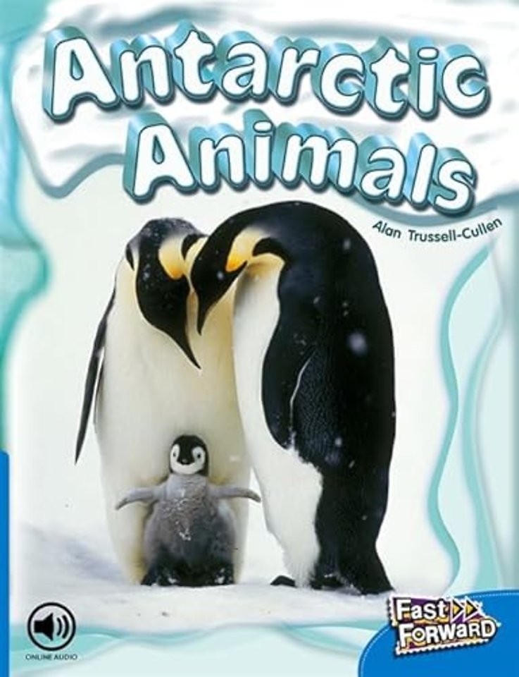 Antarctic Animals