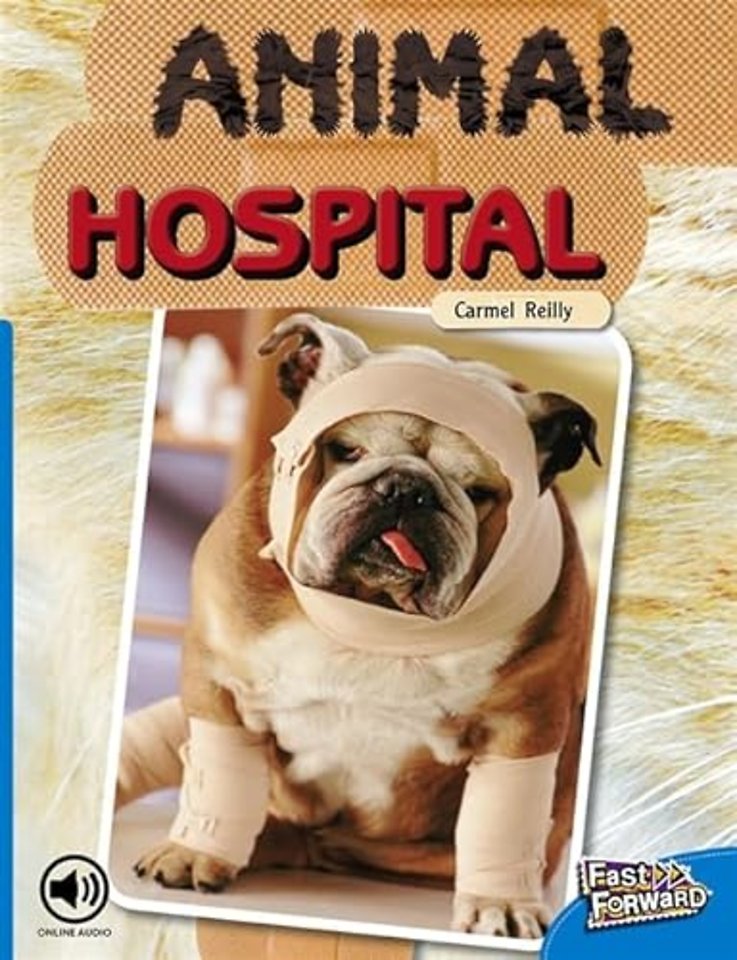 Animal Hospital
