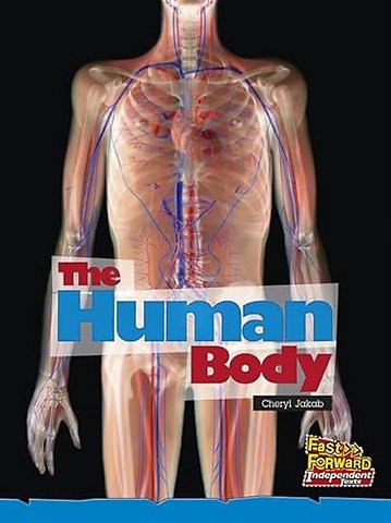 The Human Body