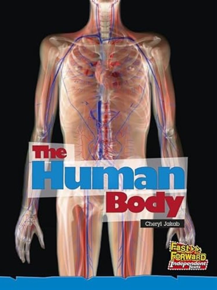 The Human Body