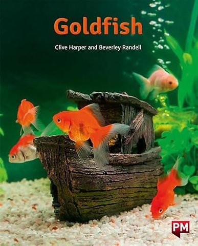PM ORANGE GOLDFISH N FIC LEV16