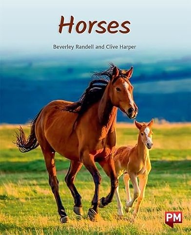 HORSES