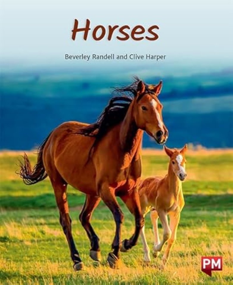 HORSES