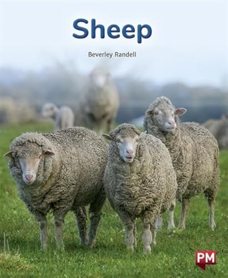 SHEEP