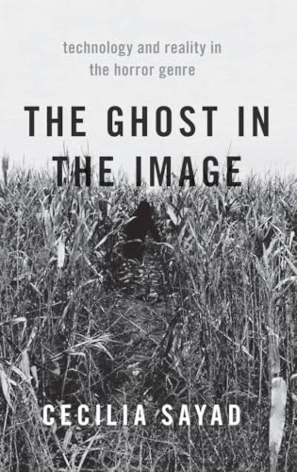 The Ghost in the Image