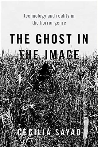 The Ghost in the Image
