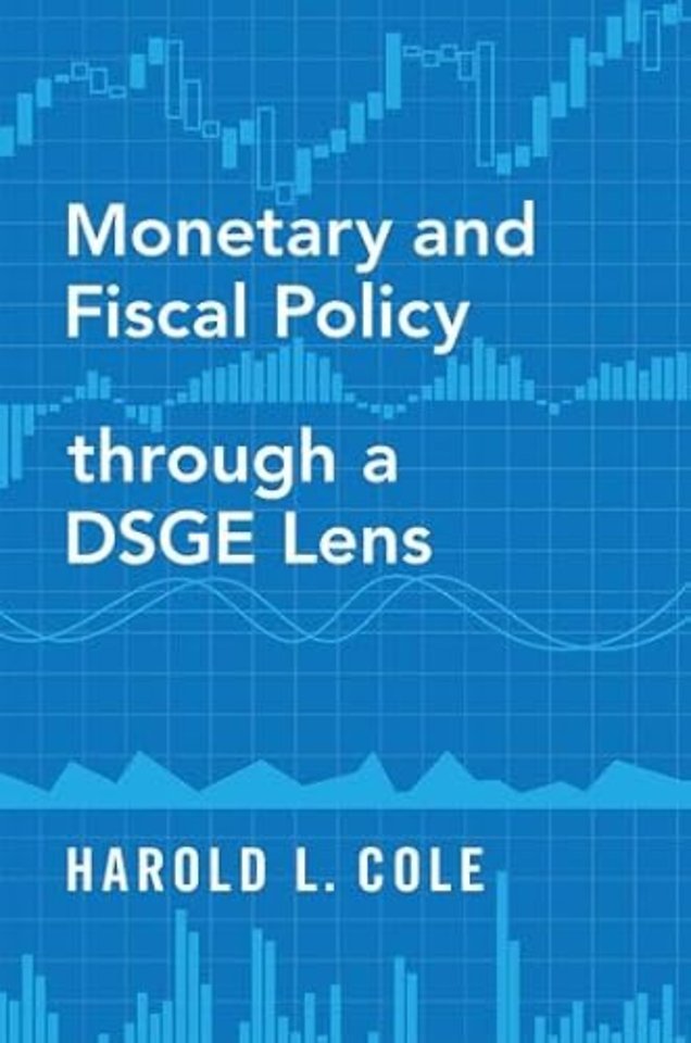 Monetary and Fiscal Policy through a DSGE Lens