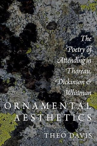 Ornamental Aesthetics