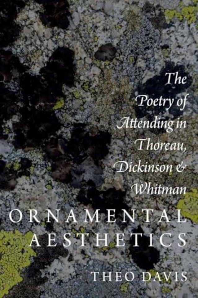 Ornamental Aesthetics