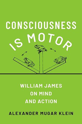 Consciousness Is Motor